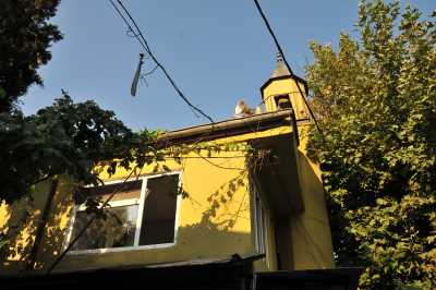 Davutpaşa Mescidi Osmangazi/Bursa, Bursa İl Kültür ve Turizm Müdürlüğü arşivinden alınmıştır.