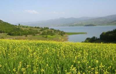 Almus Baraj Gölü