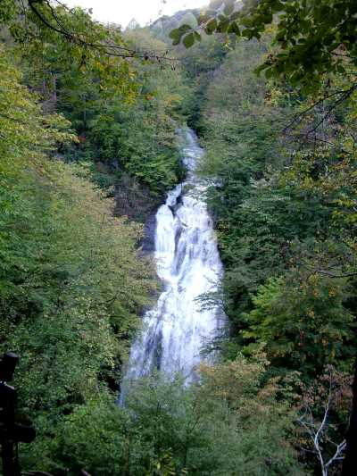 Güzeldere Şelalesi Tabiat Parkı