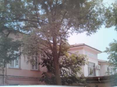 İl Kültür ve Turizm Müdürlüğü Foto arşivinden 08.07.2014 tarihinde alınmıştır.