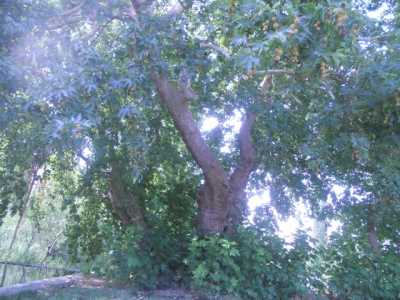 Denizli İl Kültür ve Turizm Müdürlüğü