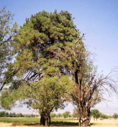 Denizli İl Kültür ve Turizm Müdürlüğü