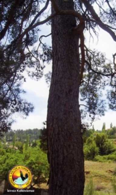 Denizli İl Kültür ve Turizm Müdürlüğü