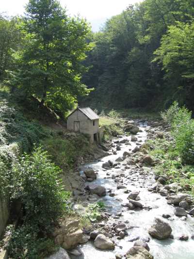 Bölüklü Yayla - Gümeli/Alaplı