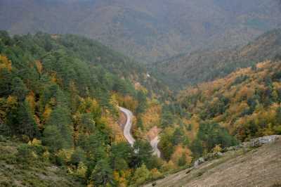 Yığılca'dan Yedigöller'e