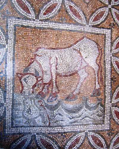 Hadrianapolis Antik Kentinde ortaya çıkartılan mozaikler