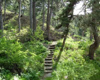Yozgat Çamlık Milli Parkı