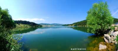 Dağyenice, Bursa Valiliği arşivinden 2013 yılında alınmıştır.