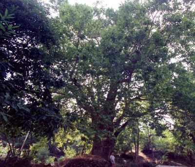 Denizli İl Kültür ve Turizm Müdürlüğü
