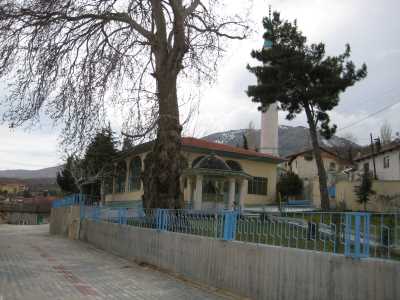 Denizli İl Kültür ve Turizm Müdürlüğü