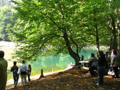 Yedigöller Milli Pakı, Nazlıgöl