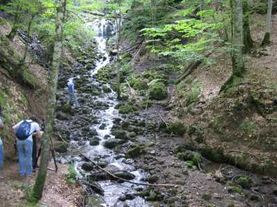 Yedigöller Milli Parkı