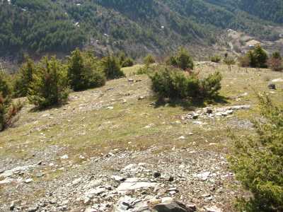 KURMALAR (KİMİATANE) ANTİK YERLEŞİM ALANI - Müze Müdürlüğü Arşivi - 2008