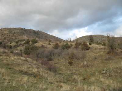 KURMALAR (KİMİATANE) ANTİK YERLEŞİM ALANI - Müze Müdürlüğü Arşivi - 2008