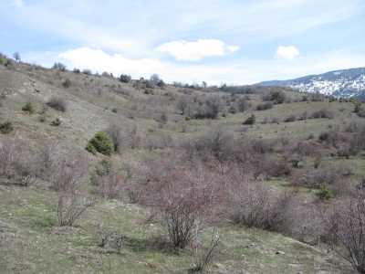 KURMALAR (KİMİATANE) ANTİK YERLEŞİM ALANI - Müze Müdürlüğü Arşivi - 2008