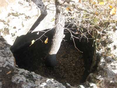 Mazgirt, Kaleköy Kalesi