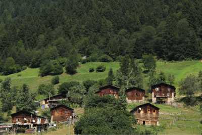 Sivrikaya Yaylası Kaynak: Rize İl Kültür ve Turizm Müdürlüğü Fotoğraf Arşivi