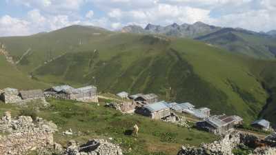 Vaşa Yaylası Kaynak: Rize İl Kültür ve Turizm Müdürlüğü Fotoğraf Arşivi