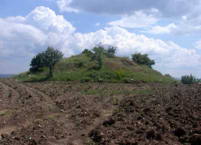 DANİŞMENT YERLEŞİM ALANI - Müze Müdürlüğü Arşivi - 2009