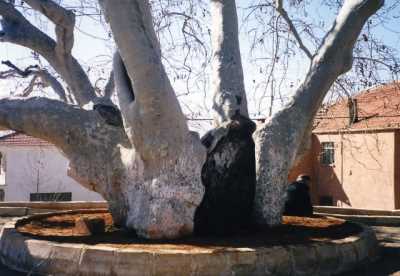 Denizli İl Kültür ve Turizm Müdürlüğü
