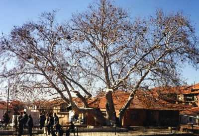 Denizli İl Kültür ve Turizm Müdürlüğü