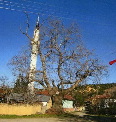 Denizli İl Kültür ve Turizm Müdürlüğü