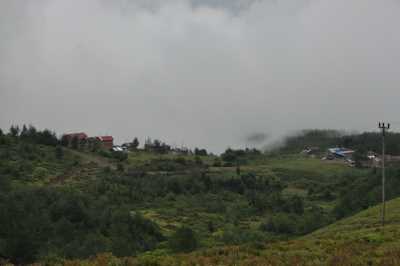 Handüzü Yaylası Kaynak: Rize İl Kültür ve Turizm Müdürlüğü Fotoğraf Arşivi