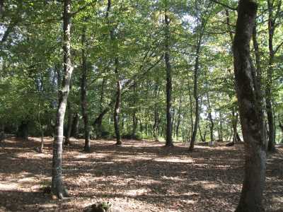 Reisler Okçular Gölü