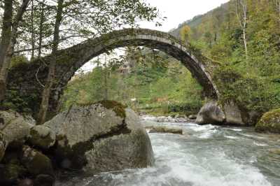 Eski Armutluk Köprüsü Kaynak: Rize İl Kültür ve Turizm Müdürlüğü Fotoğraf Arşivi
