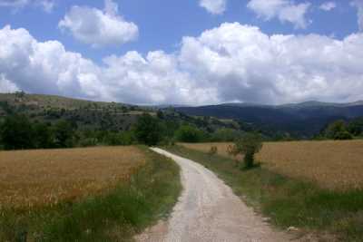 AŞAĞIDERE KÖYÜ ARKEOLOJİK YERLEŞİM ALANI