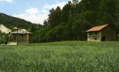 Denizli İl Kültür ve Turizm Müdürlüğü