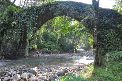 Tonik (Kızıltoprak) Köprüsü Kaynak: Rize İl Kültür ve Turizm Müdürlüğü Fotoğraf Arşivi