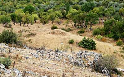 Topraktepe I-II Tümülüsleri