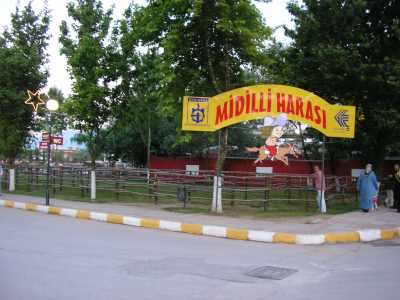 İzmit Fuar Alanı-İzmit