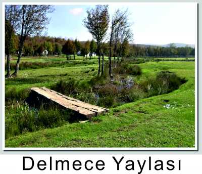 Delmece Yaylası, Yalova