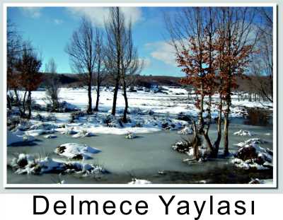 Delmece Yaylası, Yalova