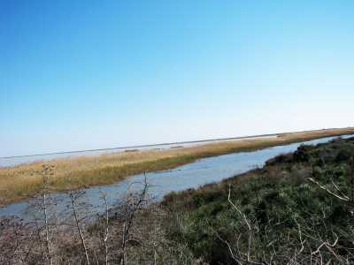 Göksu Deltası (Silifke-Mersin)