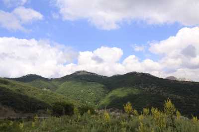 Şebekpınarı Yaylası - Aydıncık/YOZGAT