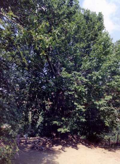 Denizli İl Kültür ve Turizm Müdürlüğü