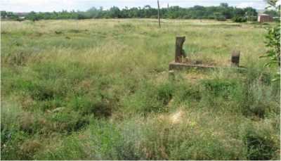 AHLAT-KIRKLAR MEZARLIĞI