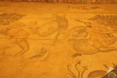 Haleplibahçe Mozaik Müzesi
