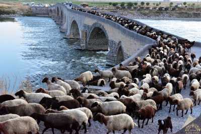 Murat Paşa Köprüsü
