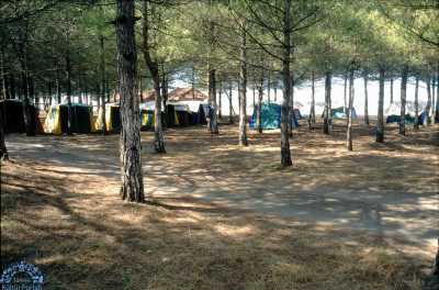 Miliç Çadır Kampı