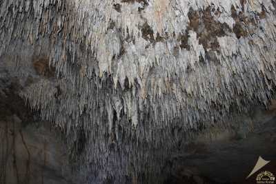 Sırtlanini Mağarası-Karacasu