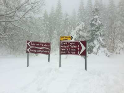 Topuk Yaylası Yürüyüş Parkuru