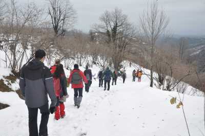 Aktaş Şelalesi Yürüyüş Parkuru