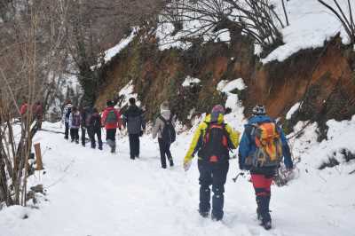 Aktaş Şelalesi Yürüyüş Parkuru