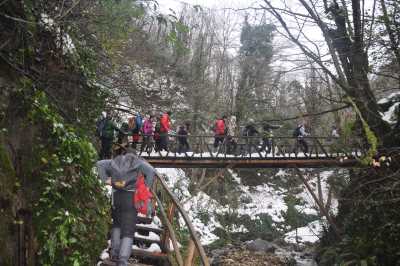 Aktaş Şelalesi Yürüyüş Parkuru