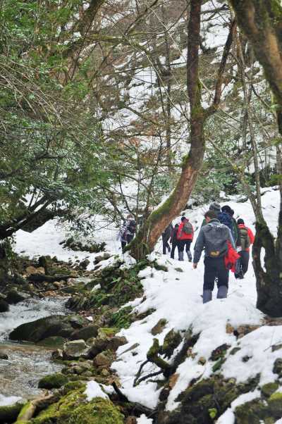 Aktaş Şelalesi Yürüyüş Parkuru