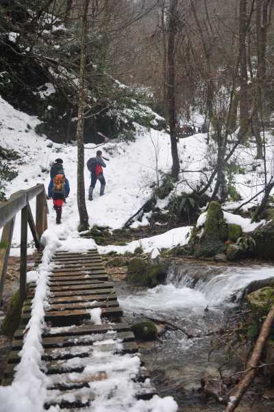Aktaş Şelalesi Yürüyüş Parkuru